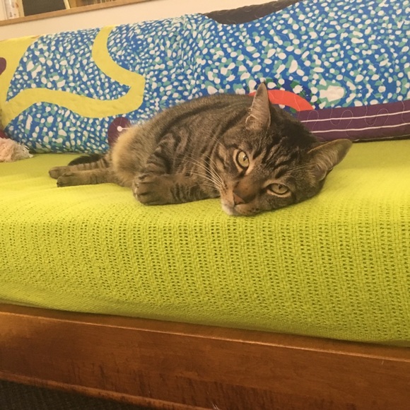 5 ⭐️ Rated - Posh Ambassador - Fast Shipping 💓 - Picture 6 of 8